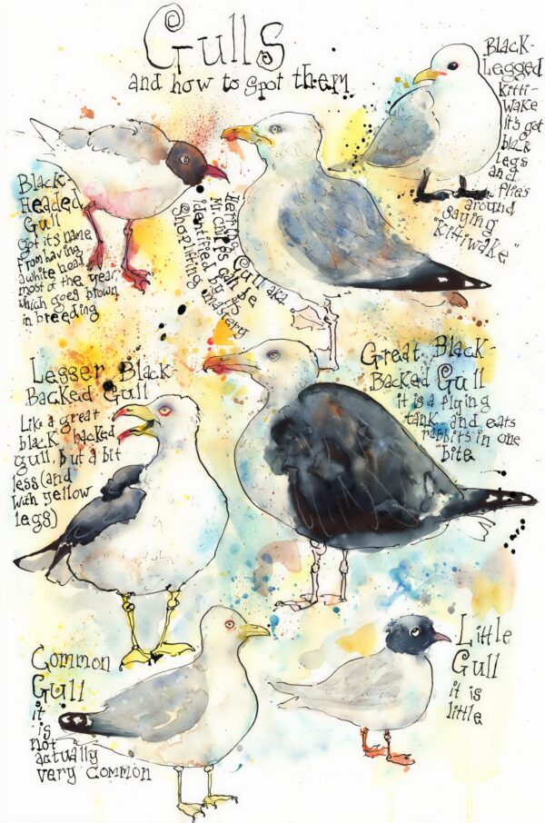 Seagull art: How to Spot Gulls giclee print