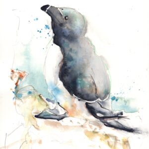 Razorbill - original ink and watercolour